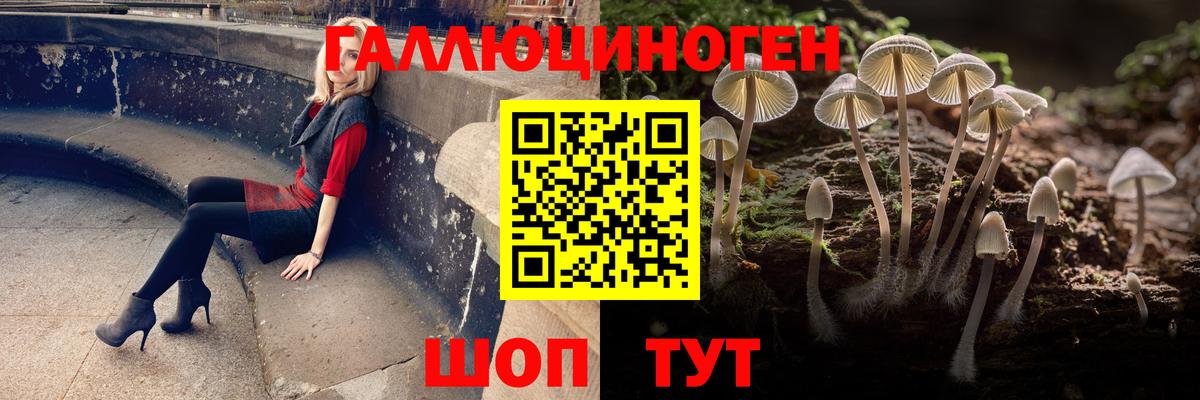 Псилоцибиновые грибы GOLDEN TEACHER  Вход с VPN  Заринск  Галлюциногенные грибы MAGIC MUSHROOMS 